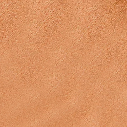 Cinnamon